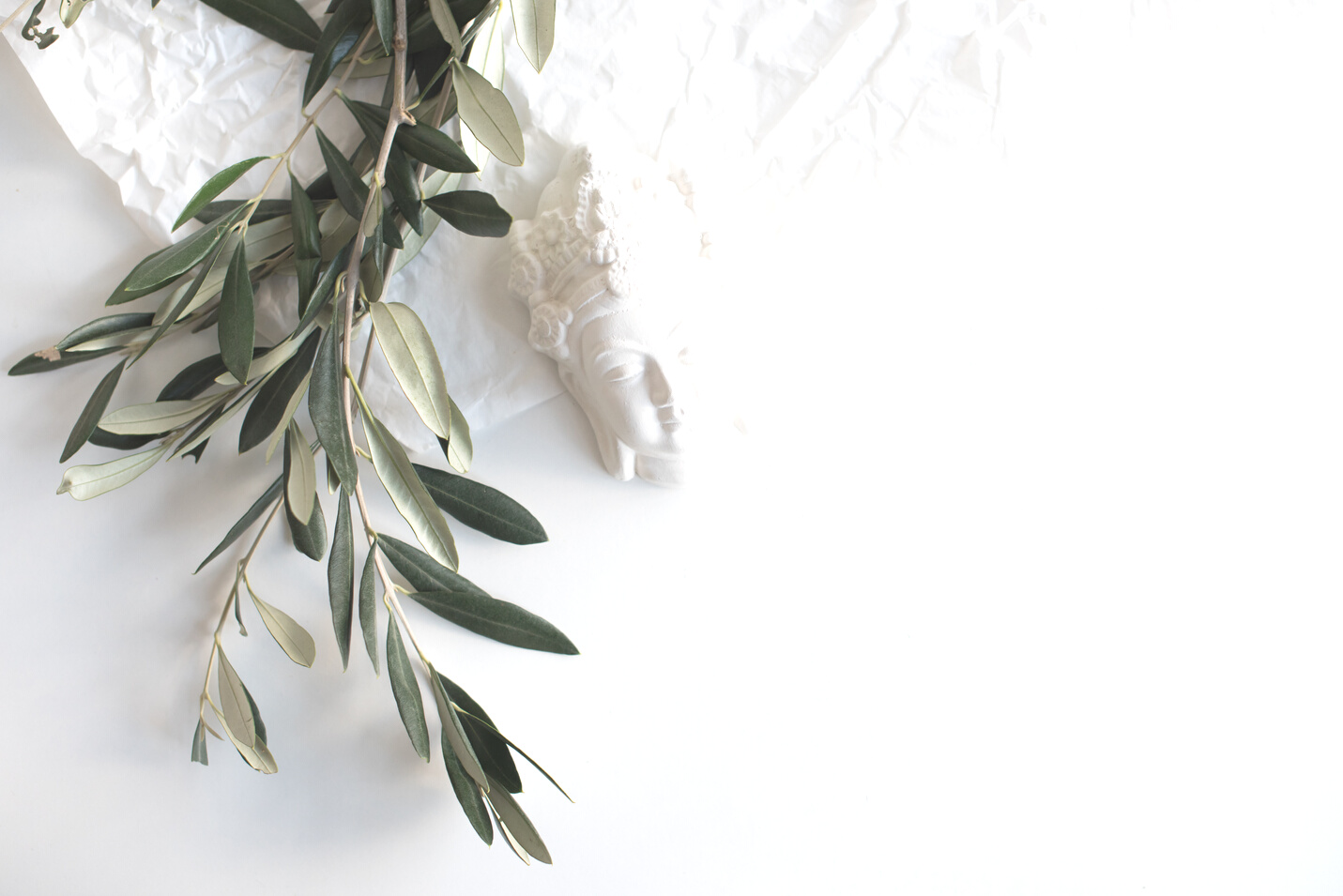 Olive Branches and Ceramic Decor